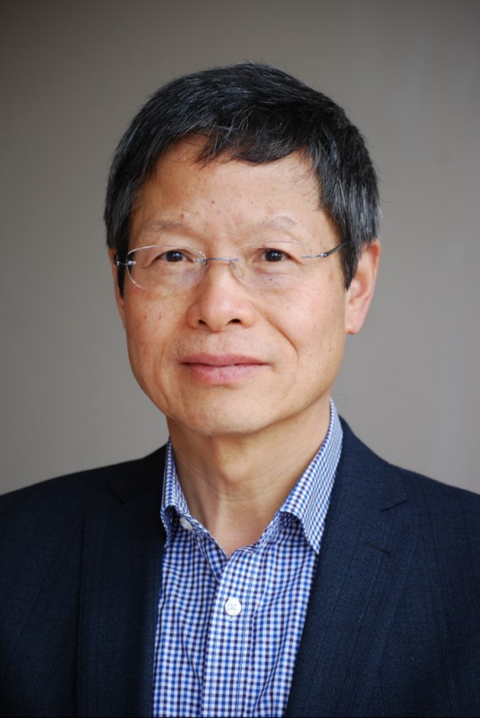 王亚平(英国社会科学院院士,爱丁堡皇家学会院士,英国格拉斯哥大学教授)