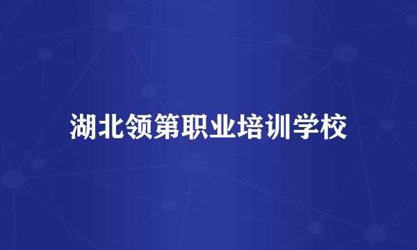 湖北领第职业培训学校