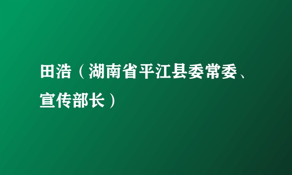 田浩（湖南省平江县委常委、宣传部长）