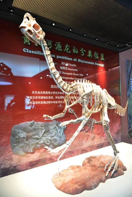 黄氏河源龙