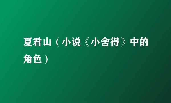 夏君山（小说《小舍得》中的角色）