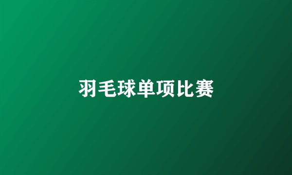 羽毛球单项比赛
