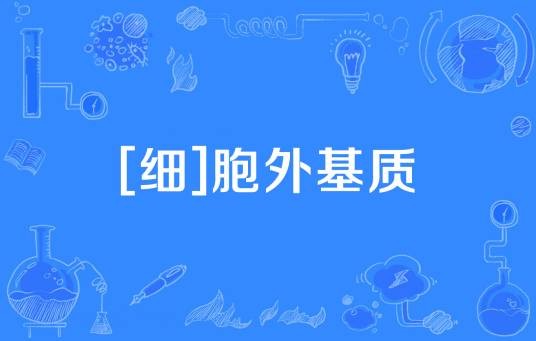 [细]胞外基质