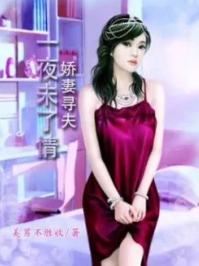 娇妻寻夫：一夜未了情