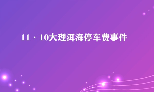 11·10大理洱海停车费事件