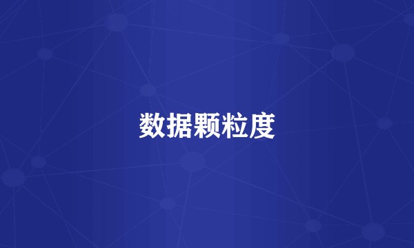 数据颗粒度