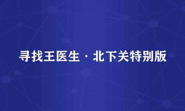 寻找王医生·北下关特别版