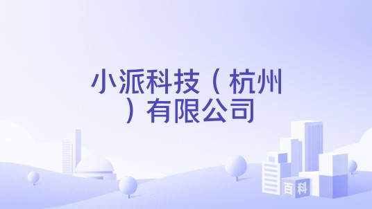 小派科技(杭州)有限公司