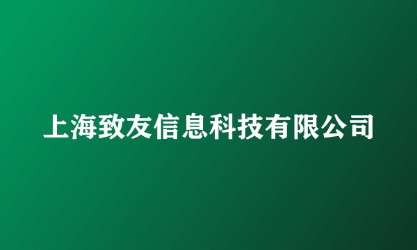 上海致友信息科技有限公司