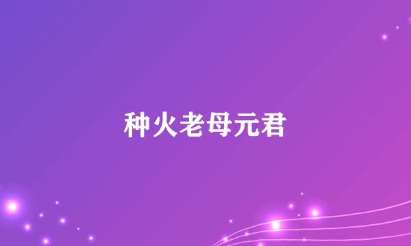 种火老母元君