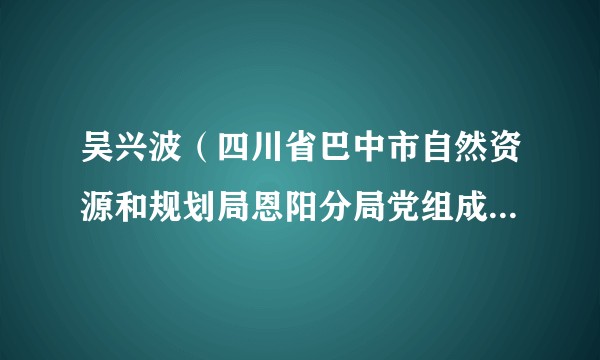 吴兴波（四川省巴中市自然资源和规划局恩阳分局党组成员、副局长）