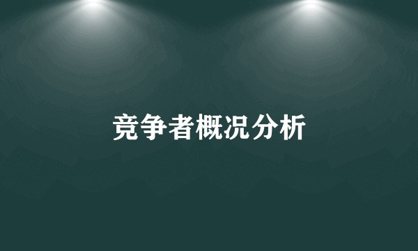 竞争者概况分析