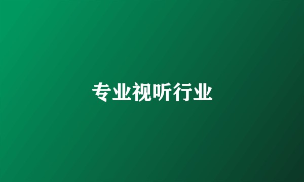 专业视听行业