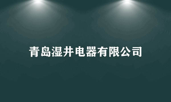 青岛湿井电器有限公司
