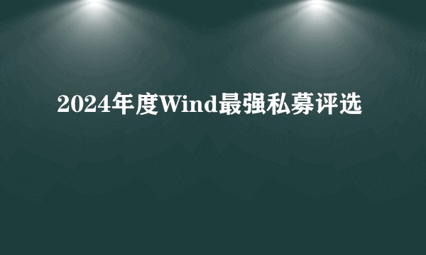 2024年度Wind最强私募评选