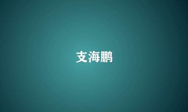 支海鹏