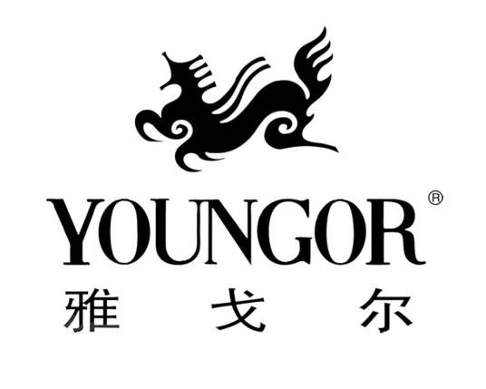 雅戈尔集团有限公司