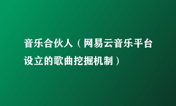 音乐合伙人（网易云音乐平台设立的歌曲挖掘机制）