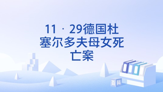 11·29德国杜塞尔多夫母女死亡案