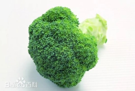 甘蓝花