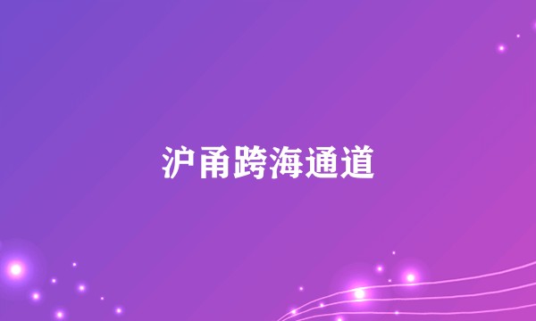 沪甬跨海通道