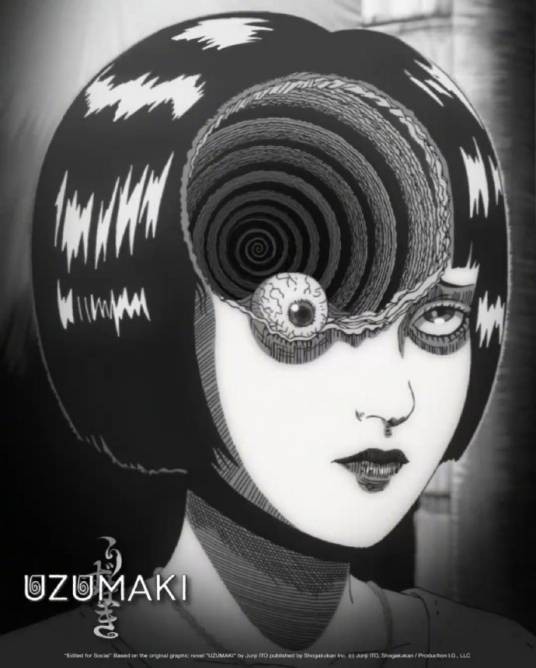 漩涡（2024年长滨博史执导的动画剧集）
