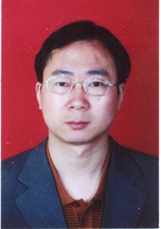 卢少华（中国武汉理工大学教授）
