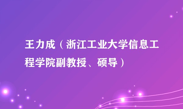 王力成（浙江工业大学信息工程学院副教授、硕导）