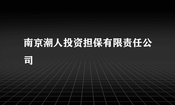 南京潮人投资担保有限责任公司