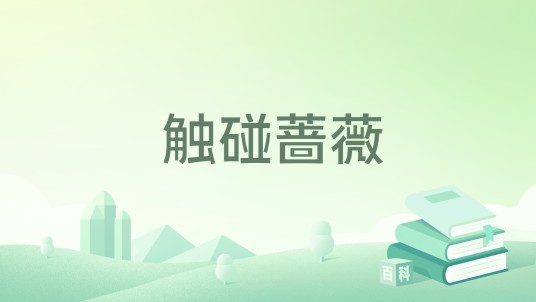 触碰蔷薇