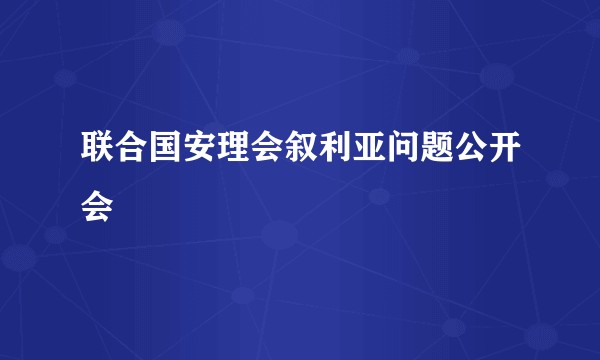 联合国安理会叙利亚问题公开会