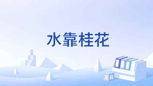 水靠桂花