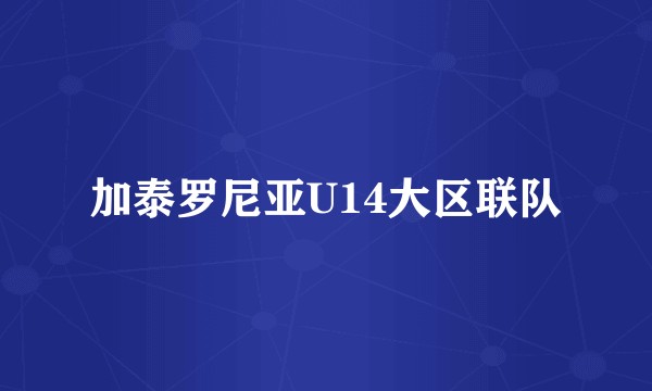 加泰罗尼亚U14大区联队