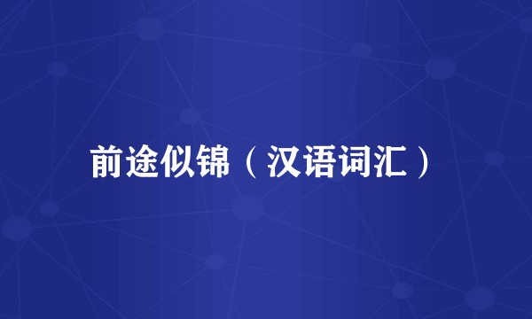 前途似锦（汉语词汇）