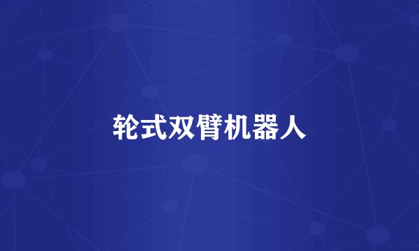 轮式双臂机器人