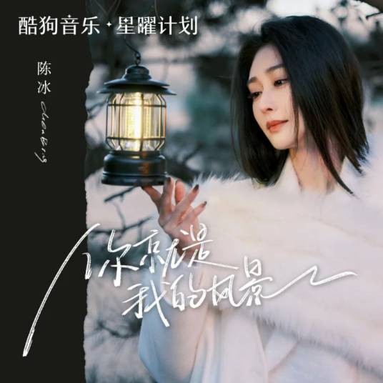 你是我的风景（陈冰演唱的歌曲）