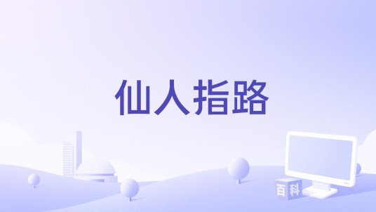 仙人指路（野肆乐队演唱的歌曲）