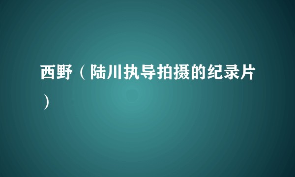 西野(陆川执导拍摄的纪录片)