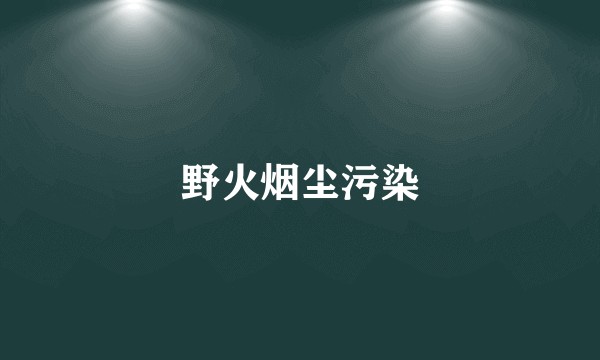 野火烟尘污染