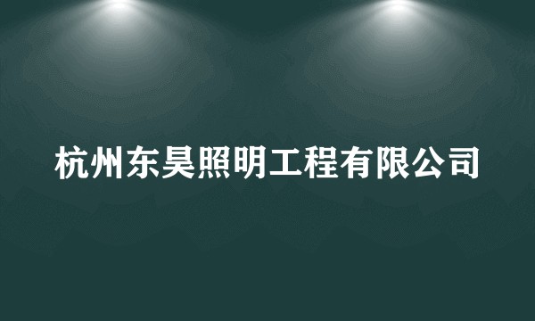 杭州东昊照明工程有限公司