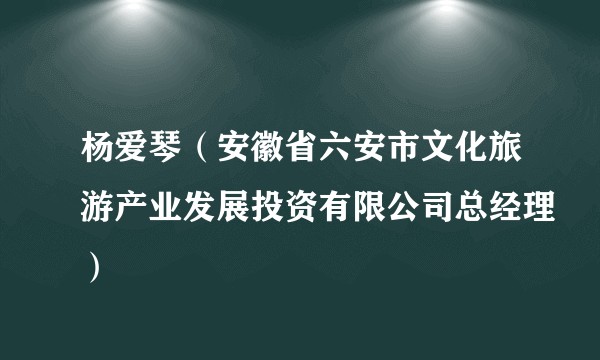 杨爱琴（安徽省六安市文化旅游产业发展投资有限公司总经理）