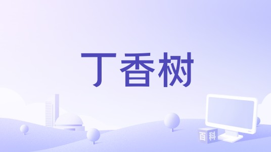丁香树（云菲菲演唱歌曲）