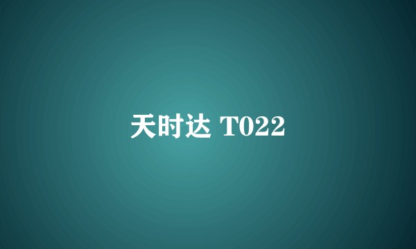 天时达 T022