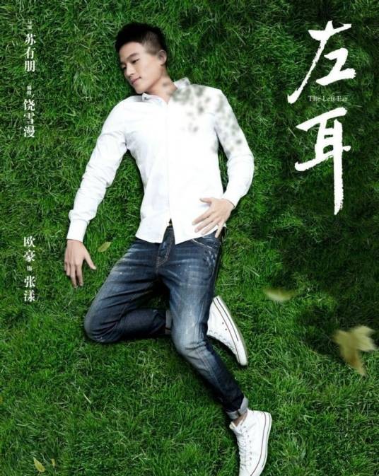 张漾（电影《左耳》中的角色）