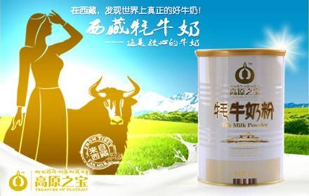 高原之宝牦牛奶粉