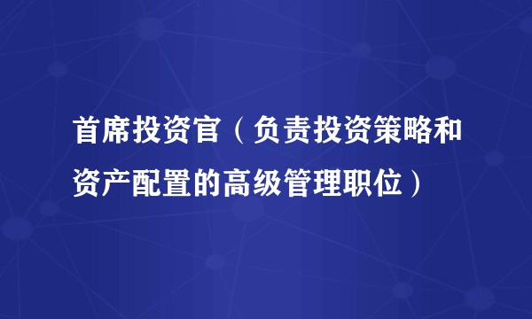首席投资官（负责投资策略和资产配置的高级管理职位）