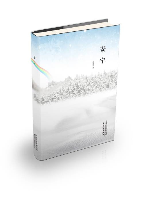 安宁（2020年天津人民出版社出版的图书）