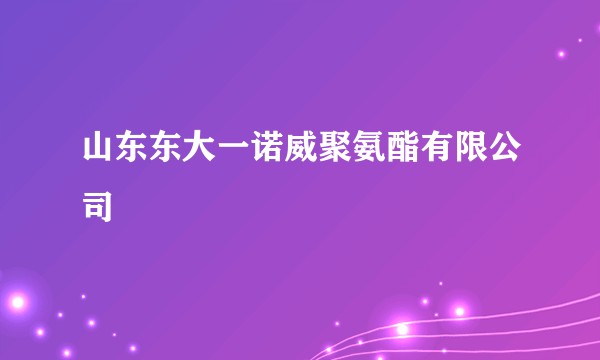 山东东大一诺威聚氨酯有限公司