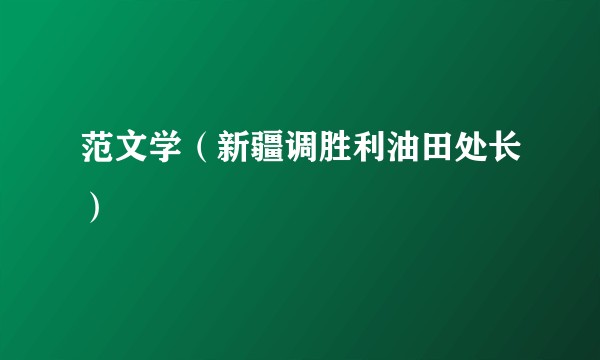 范文学（新疆调胜利油田处长）