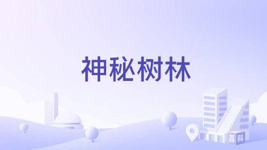 神秘树林